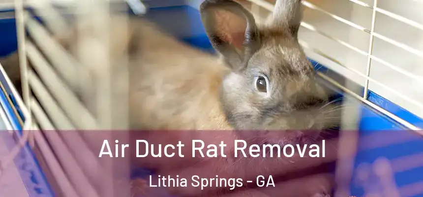  Air Duct Rat Removal Lithia Springs - GA