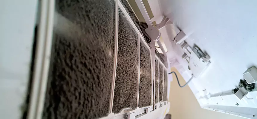 Preventive Air Duct Bacteria Removal in Lithia Springs