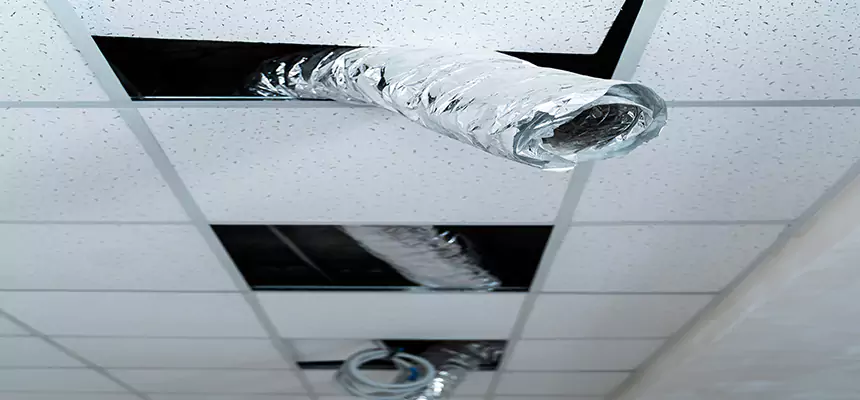 Affordable HVAC Sanitizing After Pest Removal in Lithia Springs