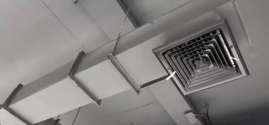 Our Rodent Droppings In Vents Services in Lithia Springs, GA