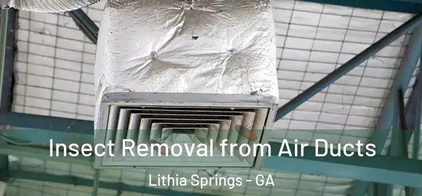  Insect Removal from Air Ducts Lithia Springs - GA