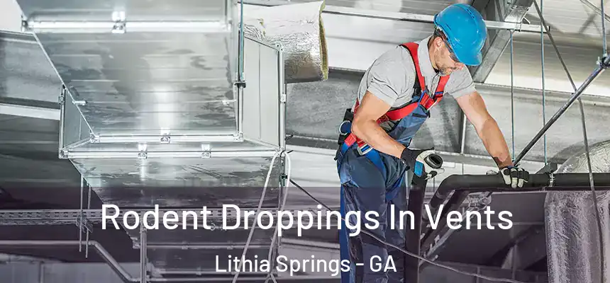  Rodent Droppings In Vents Lithia Springs - GA