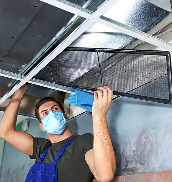 Professional Air Duct Pollen Cleaning in Lithia Springs, GA