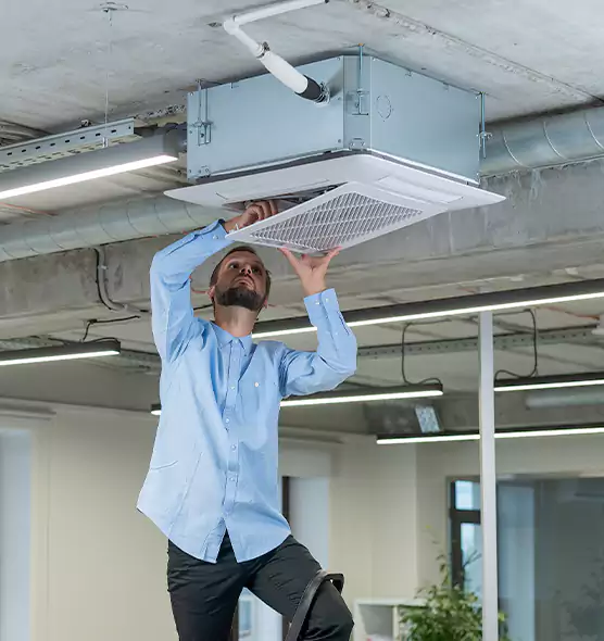 Advanced Rodent Droppings In Vents in Lithia Springs, GA